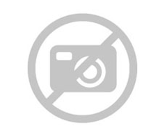 비아그라 가격은 왜 이렇게 차이가 날까요?